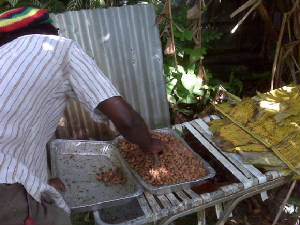 oak_chocolate/Sastrifermenting.JPG